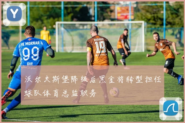 沃尔夫斯堡降级后黑金将转型担任球队体育总监职务