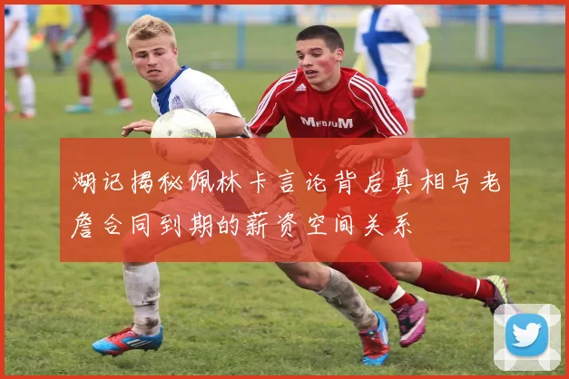 湖记揭秘佩林卡言论背后真相与老詹合同到期的薪资空间关系